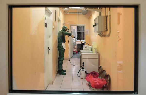 Сотрудник лаборатории 'Центр гигиены и эпидемиологии в Санкт-Петербурге во время тестирования проб на коронавирус - Sputnik Абхазия