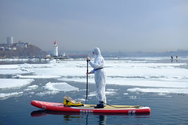 Сапсерфер в защитном костюме в бухте Владивостока - Sputnik Абхазия