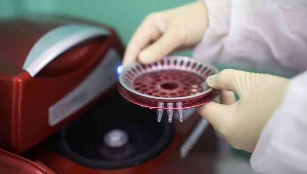 Тест-системы для диагностики нового коронавируса - Sputnik Абхазия