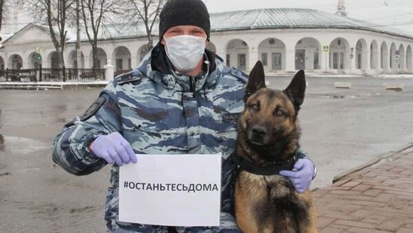 Российские экстренные службы поддержали флешмоб #StayHome  - Sputnik Абхазия