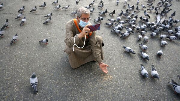 Мусульманский паломник кормит голубей возле Большой мечети в Мекке, Саудовская Аравия - Sputnik Аҧсны