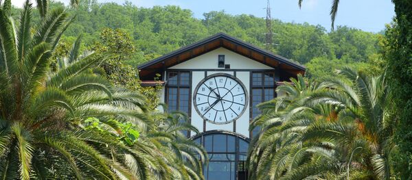 Ресторан Гагрипш в Гаграх. - Sputnik Аҧсны