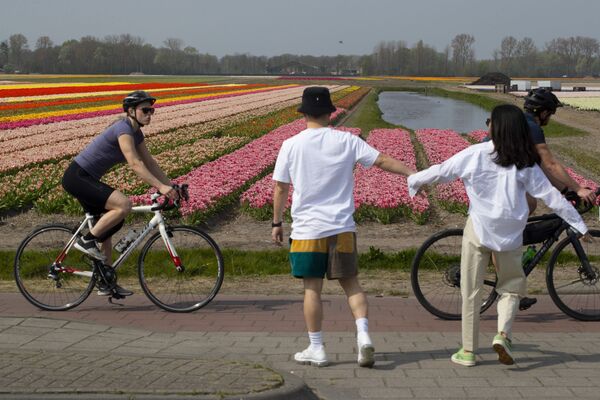 Прохожие и велосипедист на фоне тюльпанового поля в Лиссе, Нидерланды - Sputnik Абхазия