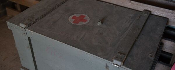 В Сухум доставлена большая партия гуманитарной медицинской помощи для борьбы с COVID -19  - Sputnik Абхазия