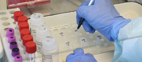 Лаборатория для тестирования на коронавирус в Архангельской области Лаборатория для тестирования на коронавирус в Архангельской области - Sputnik Абхазия