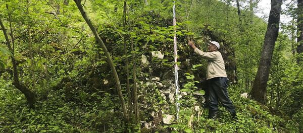 Экспедиция в Чегемском участке Экспедиция в Чегемском участке - Sputnik Абхазия