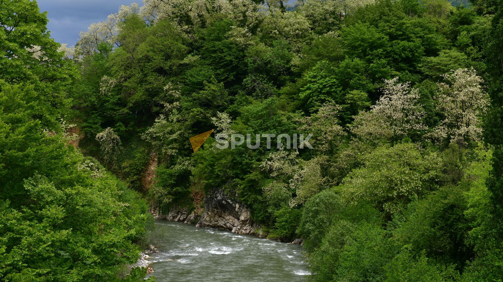 Горная река - Sputnik Абхазия, 1920, 13.06.2024