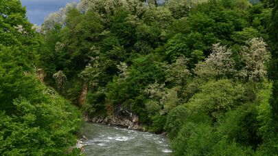 Горная река