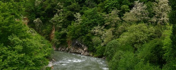 Горная река Горная река - Sputnik Аҧсны