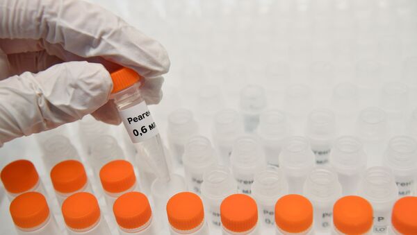 Лаборатория по производству реагентов для экспресс-тестов на коронавирус в Сколково - Sputnik Аҧсны