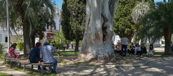 На набережной Сухума На набережной Сухума - Sputnik Абхазия