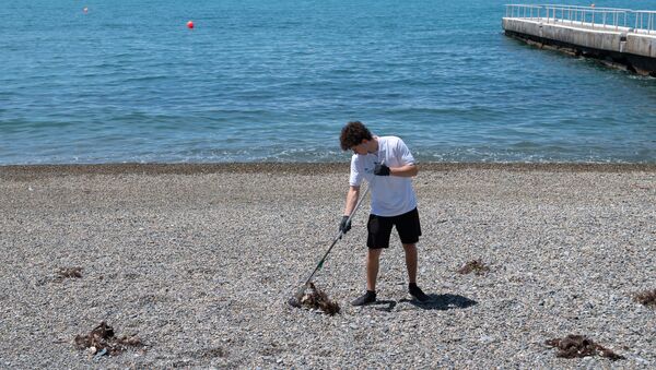 Сотрудник санатория Октябрьский в Сочи чистит пляж от мусора - Sputnik Абхазия