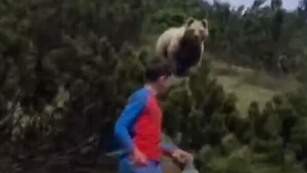 12-летний мальчик спасся от медведя - Sputnik Абхазия