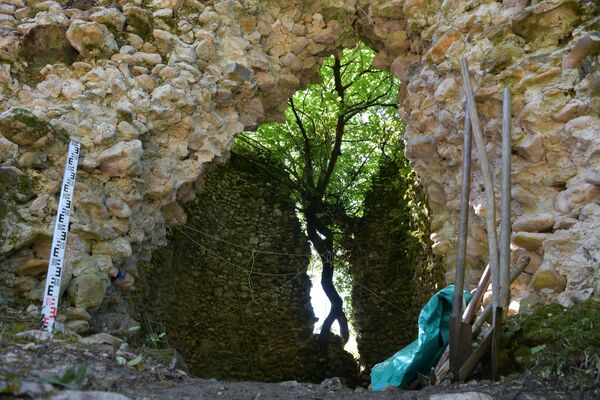 Местами стены башни разрушились из-за деревьев, которые вросли в стены  - Sputnik Абхазия