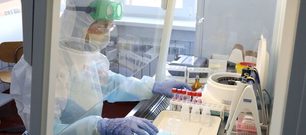 Лаборатория для тестирования на коронавирус в Архангельской области Лаборатория для тестирования на коронавирус в Архангельской области - Sputnik Аҧсны
