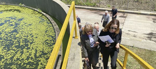 Кристина Озган  - Sputnik Абхазия