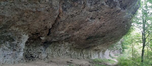 Аҵанаа арахә ахьҭаркуаз - Sputnik Аҧсны