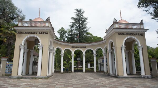 Абхазский государственный ботанический сад - Sputnik Абхазия