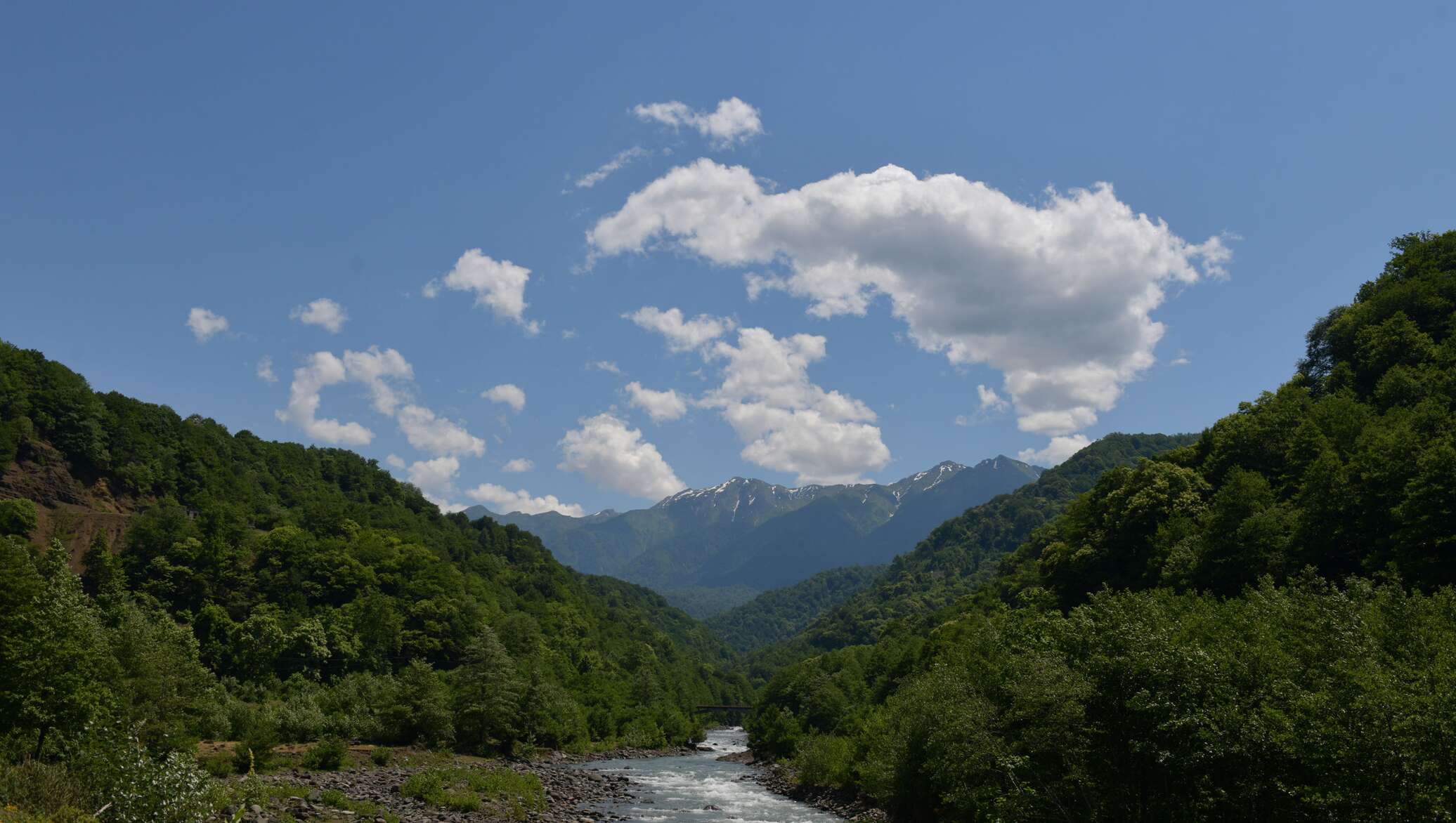 Абхазия в начале мая фото