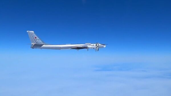 Русские “медведи” напугали США: Ту-95МС совершили полет над Тихим океаном - Sputnik Абхазия