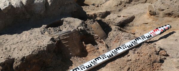 Музей-заповедник Фанагория в Краснодарском крае Музей-заповедник Фанагория в Краснодарском крае - Sputnik Абхазия