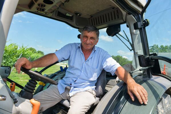 Тракторист Реваз Ласурия до того, как устроился на винограднике работал водителем автобуса и маршрутного такси - Sputnik Абхазия