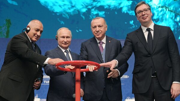 Рабочий визит президента РФ В. Путина в Турецкую Республику - Sputnik Абхазия