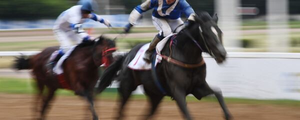 Скачки Скачки - Sputnik Абхазия